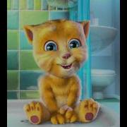 Persian Ca Ginger Singing Persian Song Gole Sangam