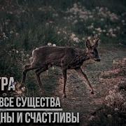 Пусть Будут Все Существа Во Всех Мирах Свободны И Счастливы