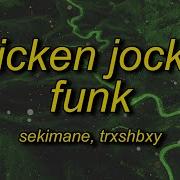 𝐂𝐇𝐈𝐂𝐊𝐄𝐍 𝐉𝐎𝐂𝐊𝐄𝐘 𝐅𝐔𝐍𝐊 Slowed