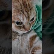 Наша Таня Громко Плачет Уронила В Речку Мячик Тише Тайничка Не Плач Через Жопу Выйдет Мяч