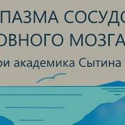 От Спазма Сосудов Головного Мозга Сытин Без Муз