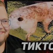 Засмеялся Проиграл Не Засмейся Челлендж