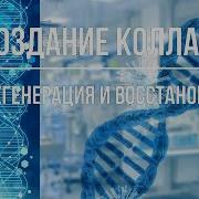 Квантовое Исцеление Регенерация Клеток Исцеление Костей И Зубов Звуковая Матрица Д Ра Райфа