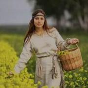 Виа Синяя Птица Подорожник