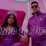 Rainha Do Tiktok Dan Lellis