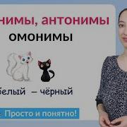 Урок Русского Языка 4 Класс Синонимы Антонимы Омонимы