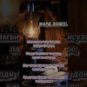 Шами Кач Охир Бисузад