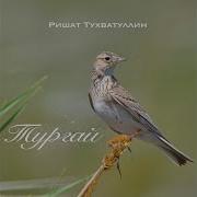 Ришат Тухватуллин Тургай