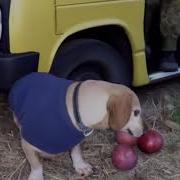 О Нет Фимоз Тыщ Тыщ Тыщ Обоюдно