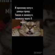 Прикол Обкуренный
