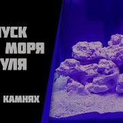 Запуск Нано Море На Срк