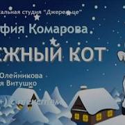 Снежный Кот С Текстом Муз Анна Олейникова Сл Евгения Витушко