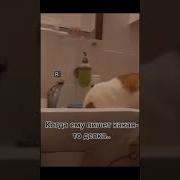 Малышка Ревнует Рингтон