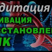 Активация Днк Всех Уровней