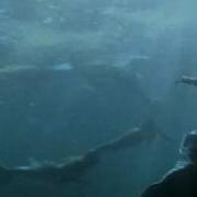 Подводное Царство Музыка Русалочка