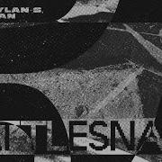 Rattlesnake Aahil Dylan S Cordoban