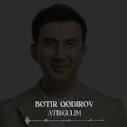 Botir Qodirov Karaoke
