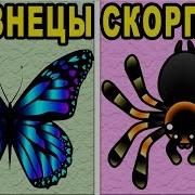 Какое Ты Насекомое По Знаку Зодиака