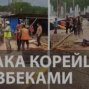 Новость Про Драку Таджика Узбека