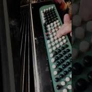 Я Играю На Баяне