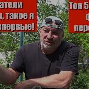 Продавец И Покупатель