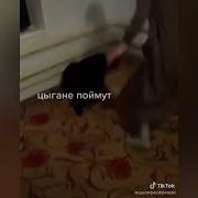 Цыгантские Веселые