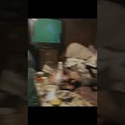 Я Тебе Щас Пизды Дам А Не Монетки