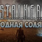 S T A L K E R Народная Солянка 9 Отключение Выжигателя Мозгов