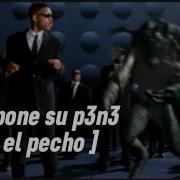 Me Pone Su Pene En Mi Pecho