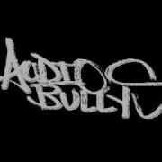 Audio Bullys We Don T Care Instrumental