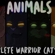 Animals Warrior Cats