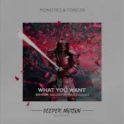 Monoteq Toricos What You Want Original Mix