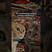 Не Могу Ни Есть Ни Спать