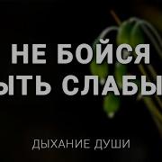 Не Бойся Быть Слабым Юлия Надвирнянская