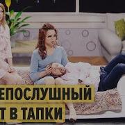 Дизель Шоу Собачий Психолог