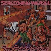 Screeching Weasel You Re The Enemy