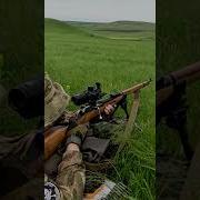 Выстрел Из Снайперской Винтовки