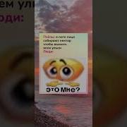 Мемы Про Пчёл