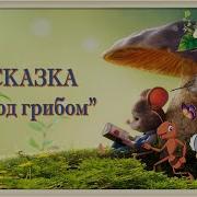 Выход Зайца Из Сказки Под Грибо М