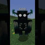 New Warden Titan Spawn Animation