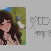 Верный Спутник Speed Up