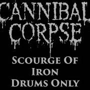 Cannibal Corpse Drums Only