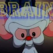 Pinky And The Brain Intro Instrumental 2020