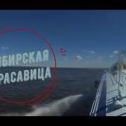 Песни О Реке Лене