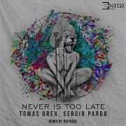 Sergio Pardo Never Is Too Late