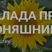 Балада Про Соняшник
