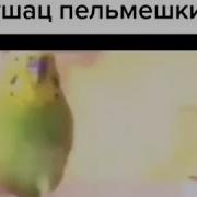 Топ Песня Мармок