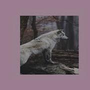 Wolves Slowed Reverb