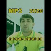 Вочиб Собиров Туйена 2020