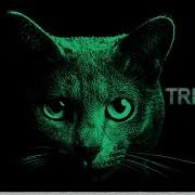 Serious Dark Minimal Techno Mix 2023 Trippy Cat Music